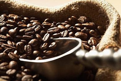 《艾尔登法环》Steam评价现已变为73%多半好评