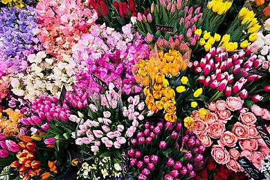 Epic喜加一：《尘埃异变＆GRIME》免费领！